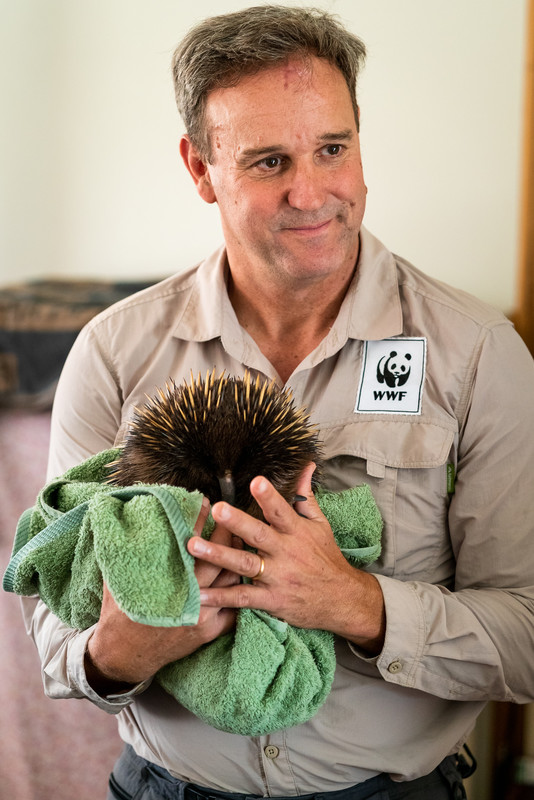 WWF-Australia CEO Dermot O'Gorman meeting injured wildlife in care and deploying hay bales with Wildcare
