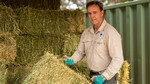 WWF-Australia CEO Dermot OGorman meeting injured wildlife in care and deploying hay bales with Wildcare