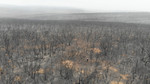 Aerial of WWF walking through Kangaroo Island bushfire aftermath