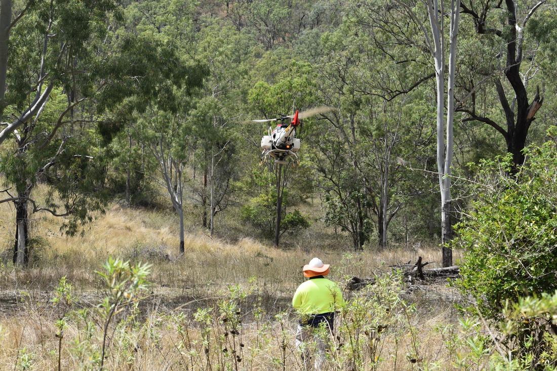 Drone seeding, Aroona QLD