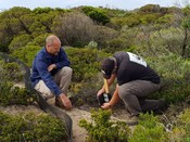 Eye on Recovery - Kangaroo Island