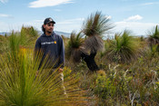 lungtalanana: Pakana ranger Kulai Sculthorpe among grass trees