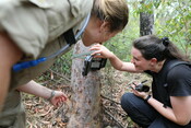 IMAGES: Mt Barney Eyes on Recovery shoot