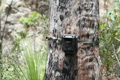 IMAGES: Mt Barney Eyes on Recovery shoot