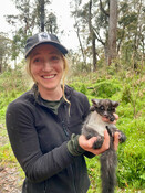 Greater Glider GPS Collaring, Tallaganda State Forest, NSW