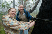 Eyes on Recovery - Blue Mountains