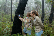 Eyes on Recovery - Blue Mountains