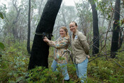 Eyes on Recovery - Blue Mountains