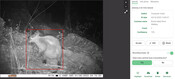 Wildlife Insights - Eyes on Recovery
