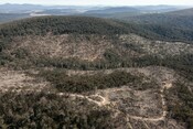 Helicopter over Tallaganda State Forest Logging in NSW