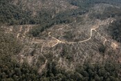 Helicopter over Tallaganda State Forest Logging in NSW