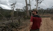 Greater glider survey in Tallaganda State Forest