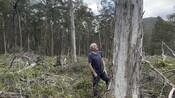 Wilderness Australia Chair Bob Debus beneath den tree 3                               