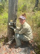 end of logging study