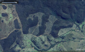NSW Land clearing 2023