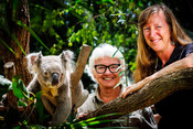 WWF x Bangalow Koalas with Arnie the koala at Byron Bay Wildlife Sanctuary to celebrate 500,000th tree planted
