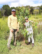 WWF x Bangalow Koalas – 500,000th tree