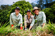 Bangalow Koalas 500,000th tree planted with WWF x Koala