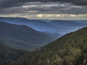 Greater glider next box project
