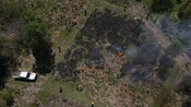 A cultural burn to control weeds before planting koala food and habitat trees on the Minyumai IPA.