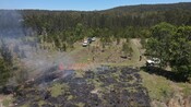 A cultural burn to control weeds before planting koala food and habitat trees on the Minyumai IPA