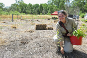 Senior Minyumai Ranger Maitland Wilson plants a tree to help Boorubee (koalas) and other widlife on the Minyumai IPA
