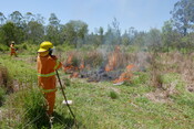 A  ranger monitors a cultural burn on the Minyumai IPA