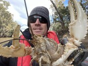Spiny Crayfish