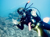 Oceans campaign