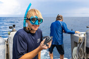 Oceans campaign