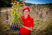 Tree planting event at Arakwal National Park, 29 July 2026