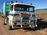 Koala clinging to a truck, Gunnedah, New South Wales